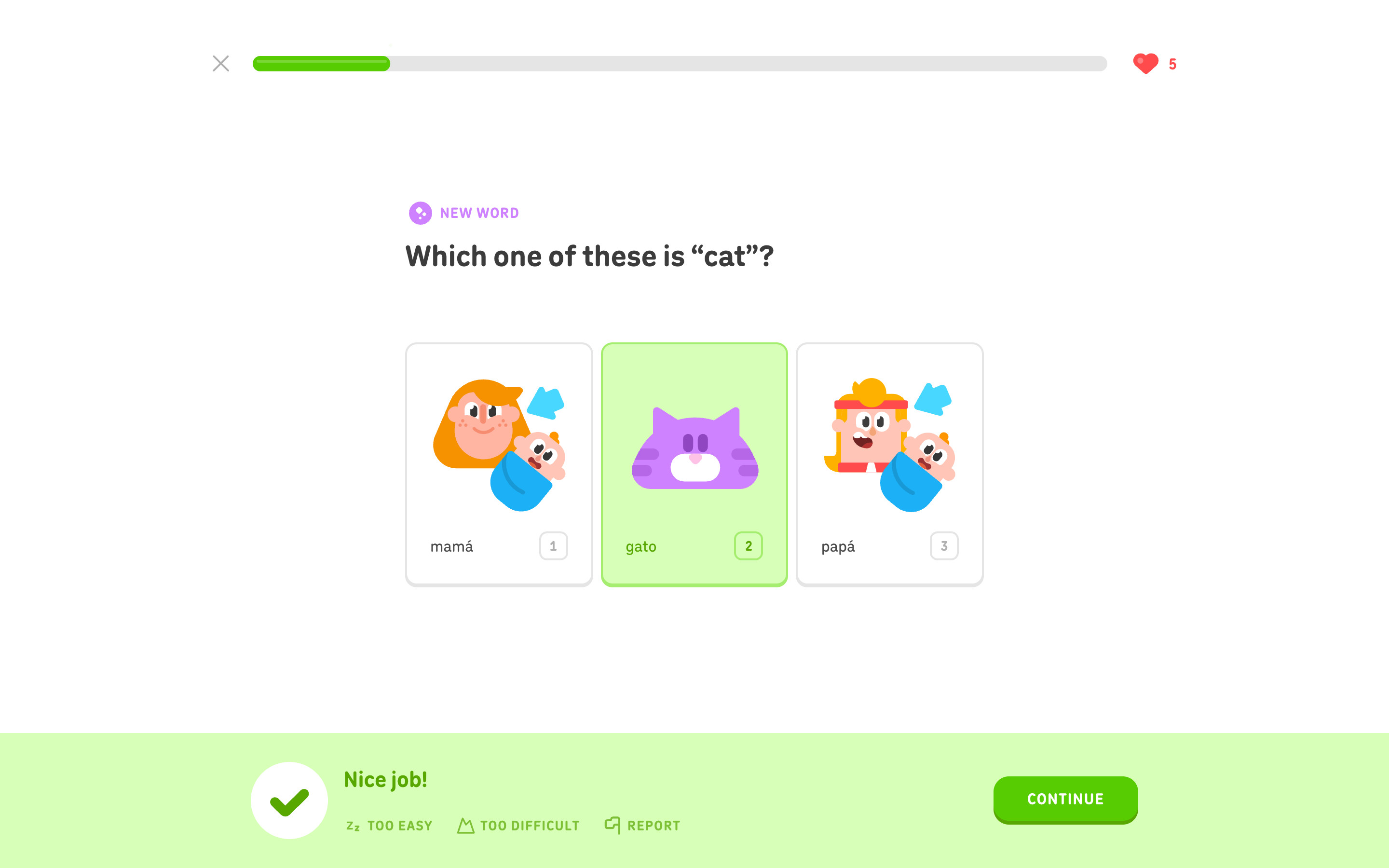 Duolingo Correct answer feedback