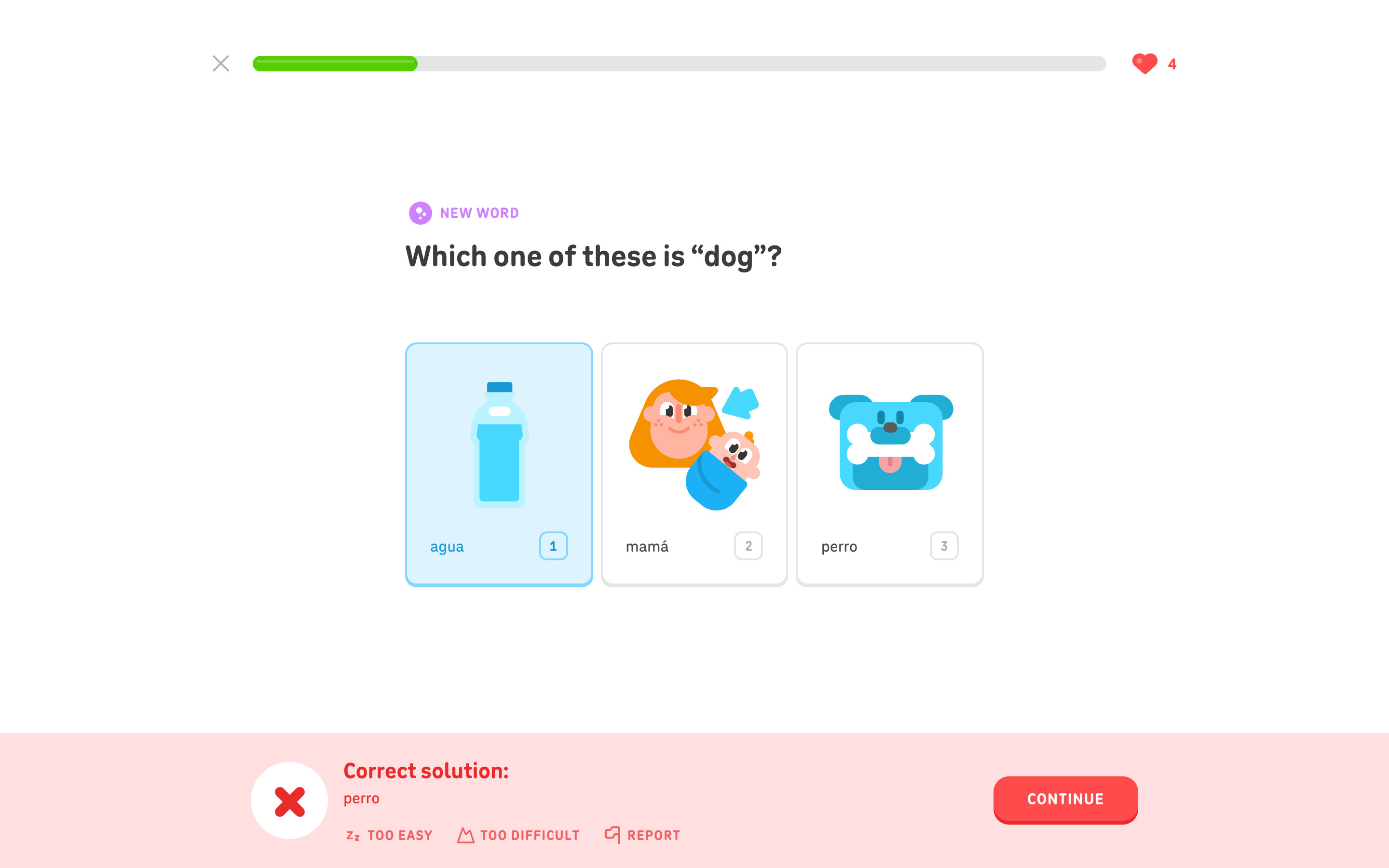Duolingo Incorrect answer feedback