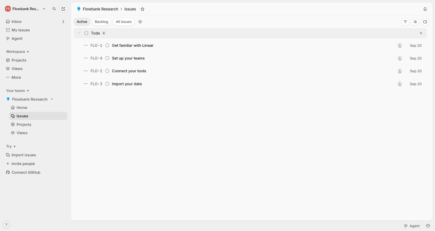 Linear — Workspace issues