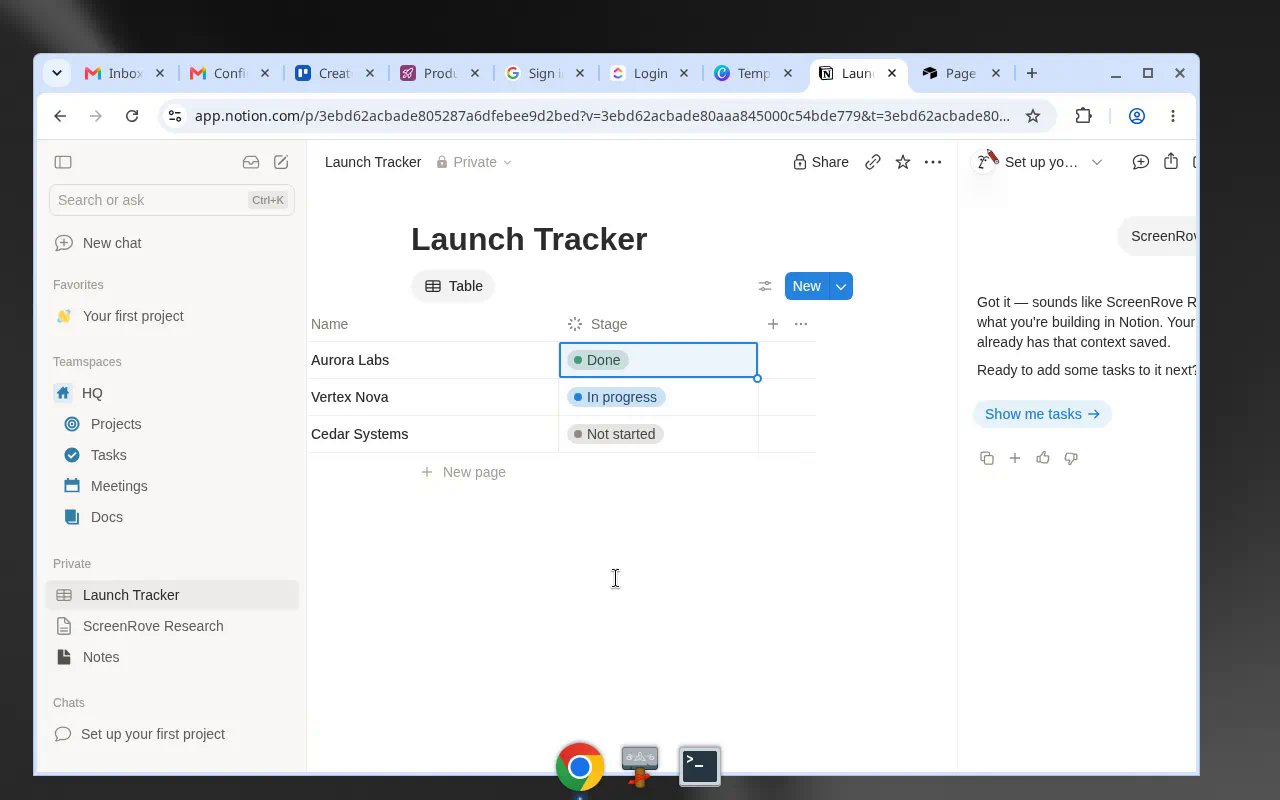 Notion — Launch Tracker table